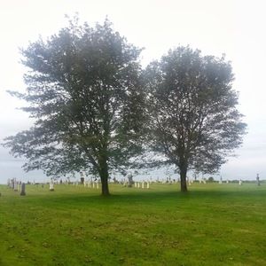 Meet your Posher, Sue